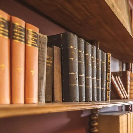 Au Pied De La Cathedrale #vuemagique * ריימס